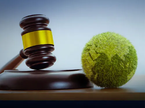 environmental-policy-and-sustainability-list