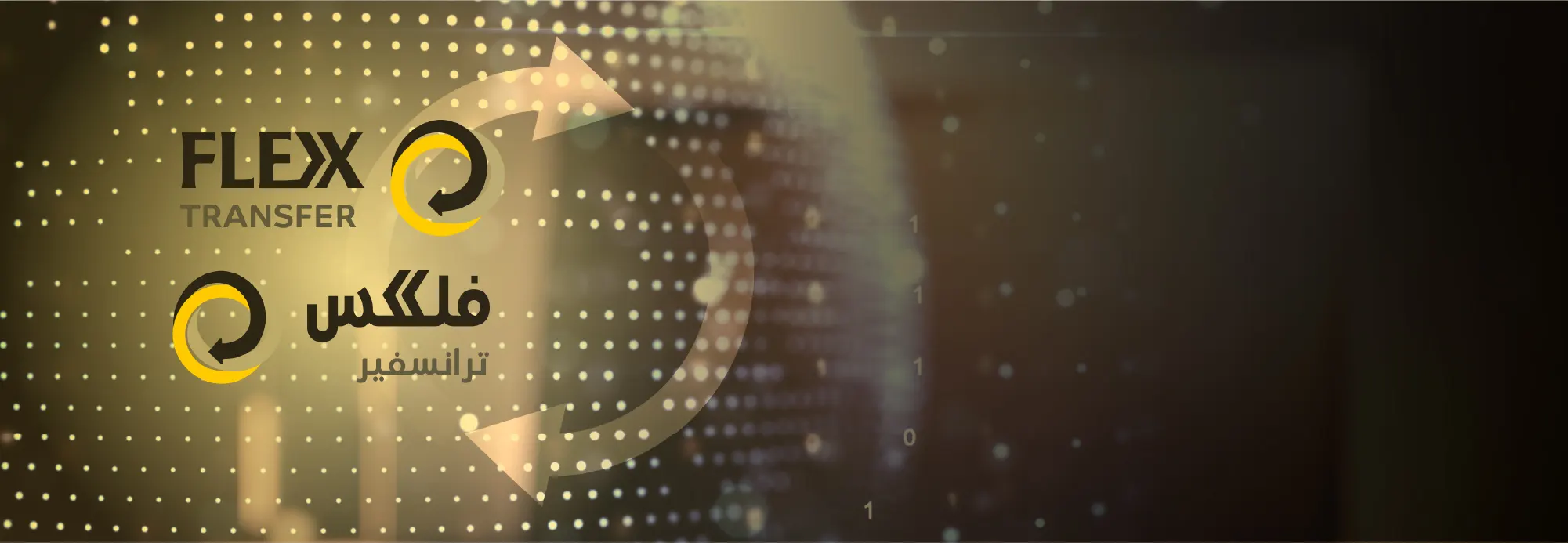 flexx-transfer-ar