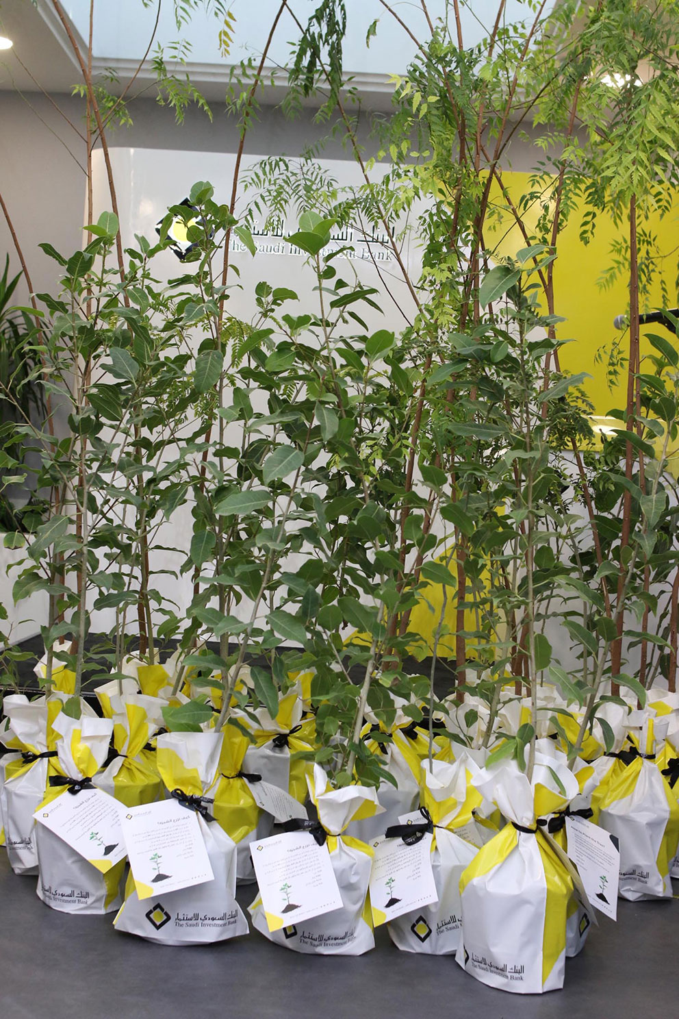 حملة التشجير بالتعاون مع أمانة مدينة الرياض